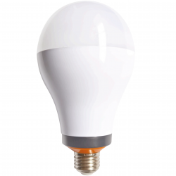 ŞARJ EDİLEBİLİR AMPÜL